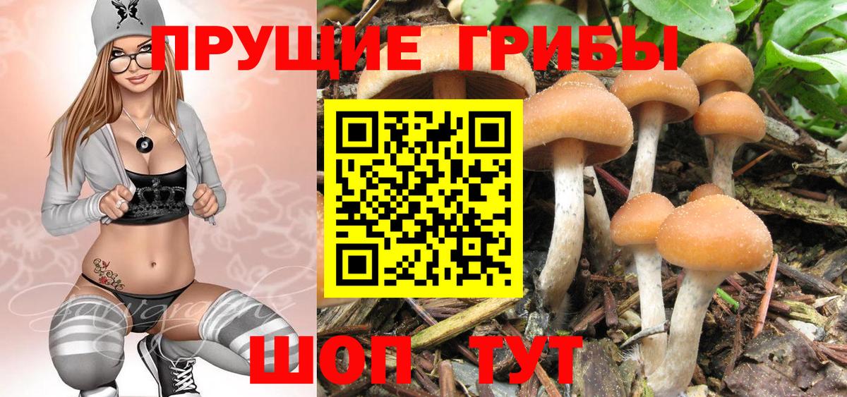 Псилоцибиновые грибы мицелий Ярцево
